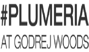 Godrej Woods Plumeria